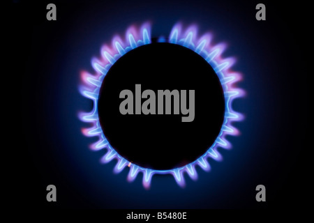 gas flames on a cooker ring Stock Photo