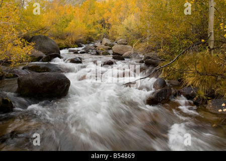 Fall color, South Fork Bishop Creek Stock Photo