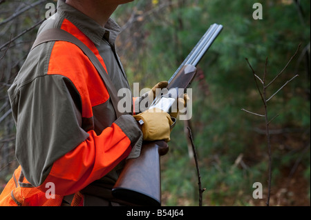 Grouse hunting in New Brunswick during the fall or autumn Stock Photo