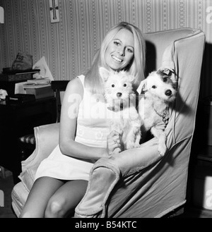 Andrea Lloyd model and actress aged 23, blonde and green eyed, Hampshire born and bred will appear shortly in the Michael Winner Film The Games. She also has a part in the latest James Bond Picture. Andrea with (left to right) her two dogs Aloise and Moysha. November 1969 Z11160-002 Stock Photo