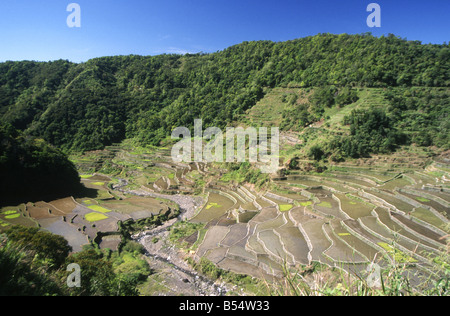 2000 year old Banaue rice terraces on Luzon Island in the Philippines are a UNESCO world heritage site and home to Ifugao tribe Stock Photo