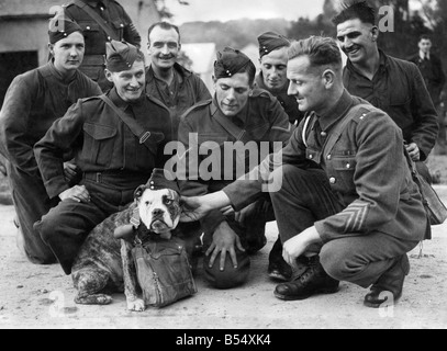 World War II. Mascots Dogs. The company's Alsatian dog is put into ...