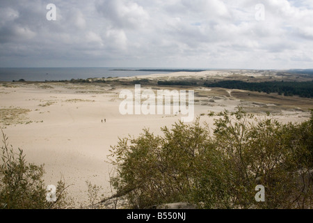 The largest sandunes in Europe at Nida on the Curonian spit Lithuania Stock Photo