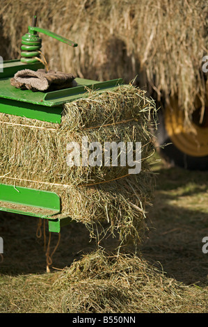 Hay bale pressed with a belt driven hay press during steam engine show, Westwold, 'British Columbia', Canada Stock Photo