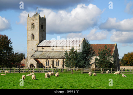 Gayton, Norfolk, UK. St Nicholas' Church with sheep in the foreground Stock Photo