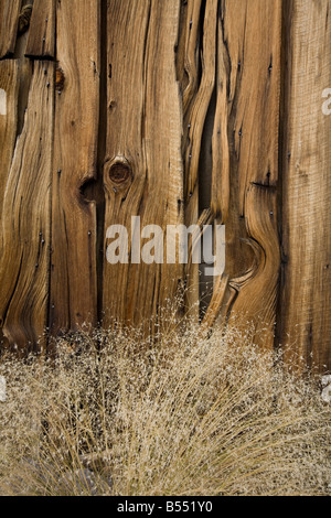 Detail of gnarled, knotted wood in Bodie Ghost Town Stock Photo