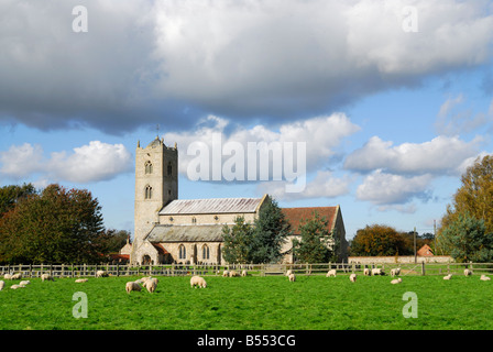 Gayton, Norfolk, UK. St Nicholas' Church with sheep in the foreground Stock Photo