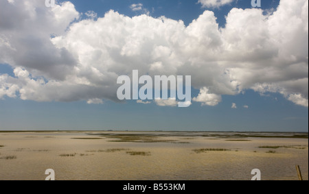 Las Marismas, Coto Donana National Park, Andalucia, South west Spain Stock Photo