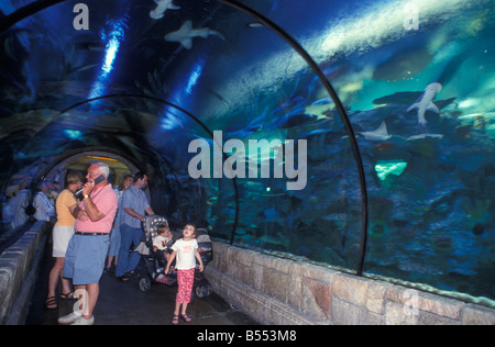 Attraction Shark Reef Aquariums with a Glass Tunnel at Casino Mandalay Bay in Las Vegas Nevada USA Stock Photo