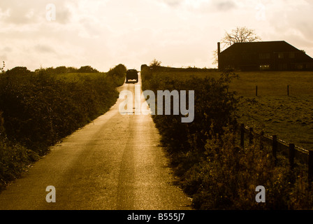 Country road in Surrey countryside at sunset Stock Photo