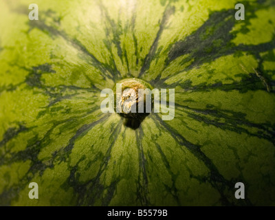 watermelon rind up close Stock Photo