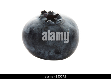 Macro shot of a single blueberry isolated on white with clipping paths Stock Photo