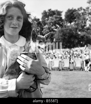 Animals: Dogs: Owners and contestants seen here talking part in The Daily Mirror Dog Show, London. July 1953 D3828-001 Stock Photo