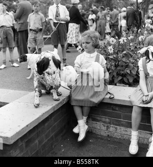 Animals: Dogs: Owners and contestants seen here talking part in The Daily Mirror Dog Show, London. July 1953 D3828-002 Stock Photo