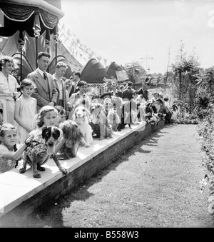 Animals: Dogs: Owners and contestants seen here talking part in The Daily Mirror Dog Show, London. July 1953 D3828-007 Stock Photo