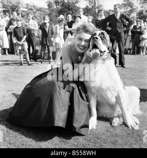 Animals: Dogs: Owners and contestants seen here talking part in The Daily Mirror Dog Show, London. July 1953 D3828-014 Stock Photo