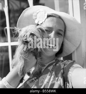 Animals: Dogs: Owners and contestants seen here talking part in The Daily Mirror Dog Show, London. July 1953 D3828-015 Stock Photo