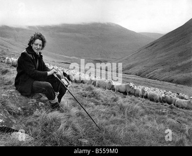 Shepherdess: How's this for Woman's lib.with only the mountains and the mist around her, 29 year old Agnes Wilson from Bodesbeck, near Selkirk, goes about her daily job. For Agnes is one of the few shepherdesses in the country. She is pictured here with one of her four dogs Maree, and 300 hundred of the sheep that she looks after. December 1971 P012555 Stock Photo