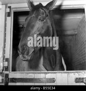 Foinavon 1967 Grand National winner seems to have something to laugh about Y14 January 1968 Stock Photo