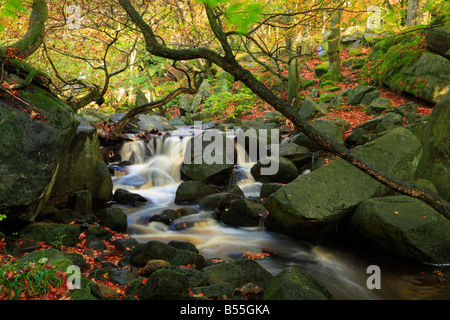 Burbage Brook flowing through Padley Gorge near Grindleford Derbyshire England UK Stock Photo