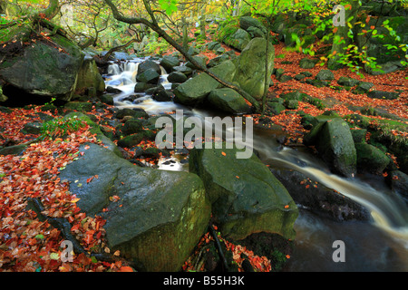 Burbage Brook flowing through Padley Gorge near Grindleford Derbyshire England UK Stock Photo