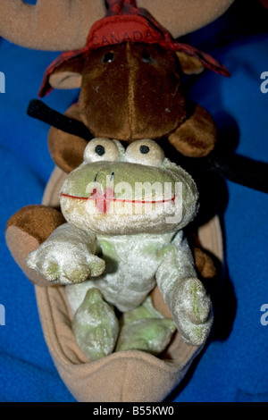 Stuffed frog hi-res stock photography and images - Alamy