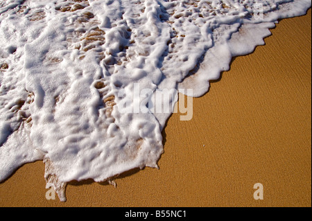 Tropical Hawaiian beach and rolling surf on the island of Kauai Stock Photo
