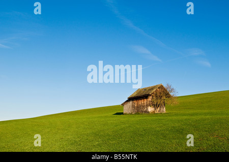 Small wooded barn in grass farm field, Allgäu, Bavaria, Germany Stock Photo