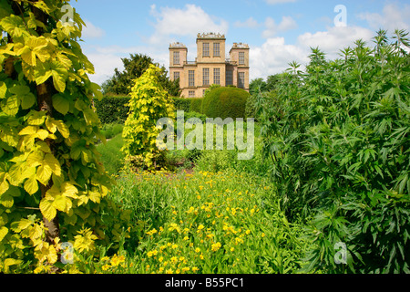 South aspect of Hardwick Hall in Derbyshire through the lush spring growth of the herb garden Stock Photo