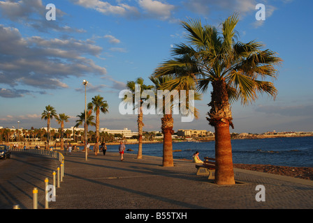 Palm trees along the sea front promenade in evening light at Paphos Cyprus Europe Stock Photo