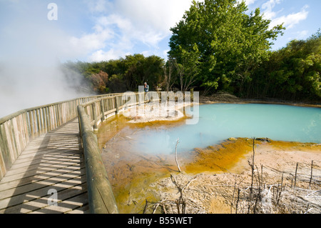 Geothermal springs in Kuirau Park, Rotorua, North Island, New Zealand Stock Photo