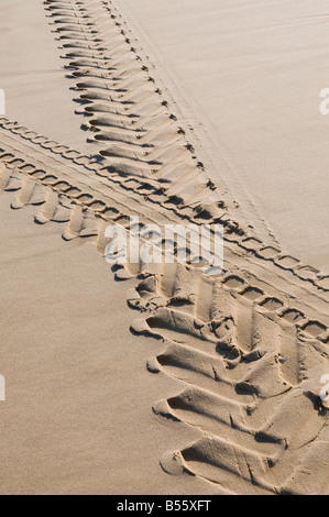 truck tyre tracks on sandy beach Stock Photo