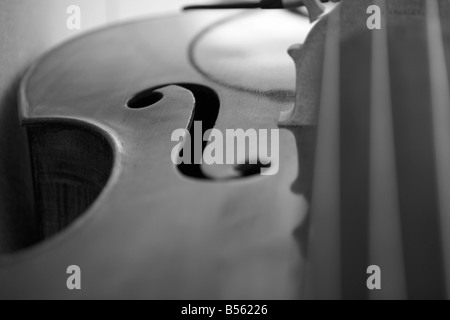cello Stock Photo