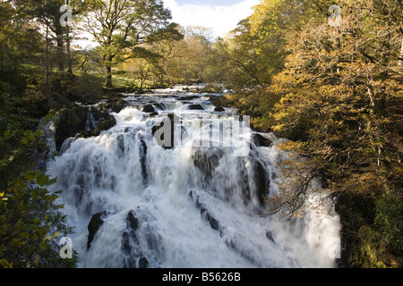 Betws y Coed Conwy North Wales UK October The impressive Swallow Falls on the River Llugwy Stock Photo