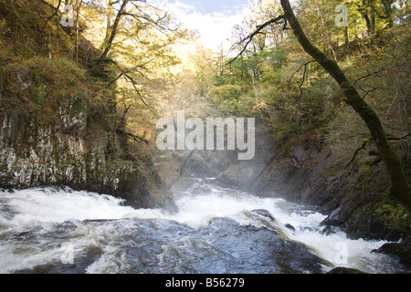 Betws-y-Coed Conwy North Wales UK October The River Llugwy surrounded by autumn colours with spray rising