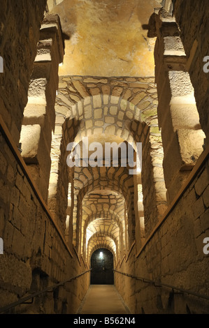 Unter den Straßen von Paris Steinbrüche Katakomben Under the Streets of Paris Quarries Catacombs Stock Photo