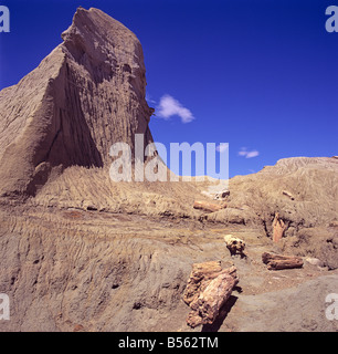 petrified woodlogs in the petrified forest in Sarmiento Argentina Stock Photo