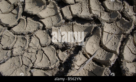 sun dried mud Stock Photo