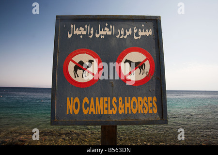 No camels and horses sign on Masbat seafront in Asilah,  Dahab by the Gulf of Aqaba, South Sinai Peninsula, Egypt. Stock Photo