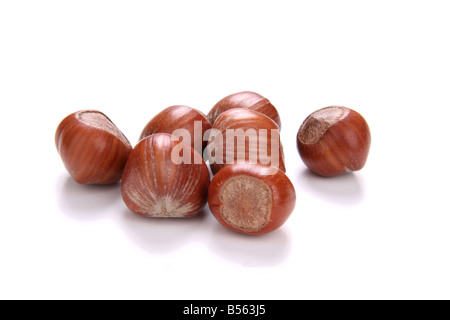 Hazelnuts cut-out Stock Photo