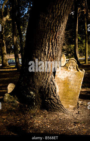 Hilton head cemetery Stock Photo