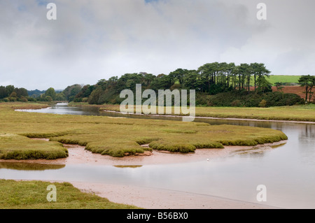 River Otter Estuary, Budleigh Salterton, Devon  UK Stock Photo