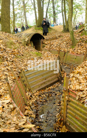 A section of the trench system at Hill 60 near Ypres, Blegium Stock Photo