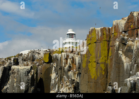 Inner Farne lighthouse, Farne Islands, Northumberland, England Stock Photo