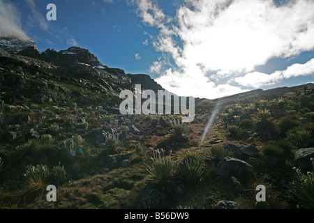 Paso Bolas, Parque Nacional Natural El Cocuy, Colombia Stock Photo