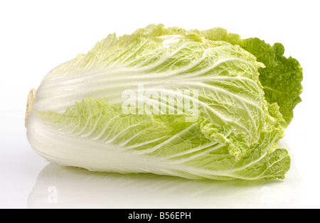 Chinese cabbage Stock Photo