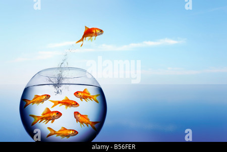 goldfish jumping out of the water from a crowded bowl Stock Photo