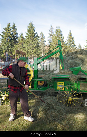 Forking hay to the hay press machine during steam engine show, Westwold, 'British Columbia', Canada Stock Photo