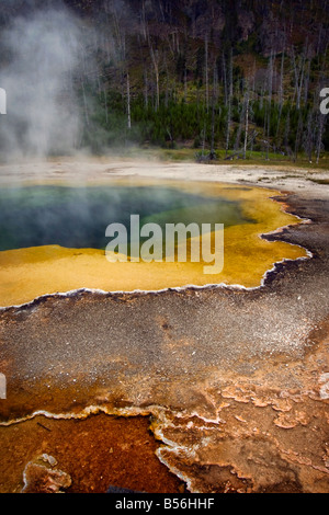 Steam rising from Emerald Pool in Yellowstone National Park August 2006. Stock Photo