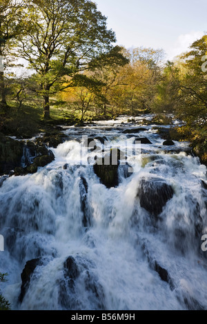 'Swallow Falls' in full spate on Afon Llugwy river in Snowdonia National Park near Betws-y-Coed Conwy North Wales UK. Stock Photo